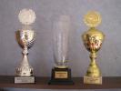 Pokal - Triple 2013-2014 Damen B